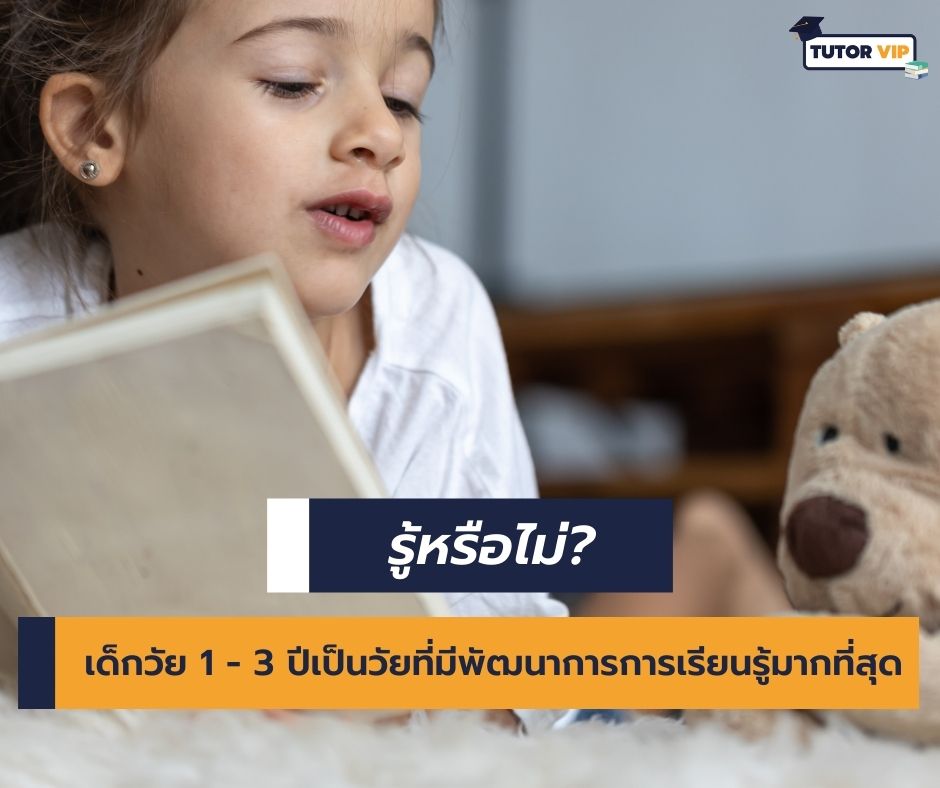 พัฒนาการเด็กวัย 1 - 3 ปี