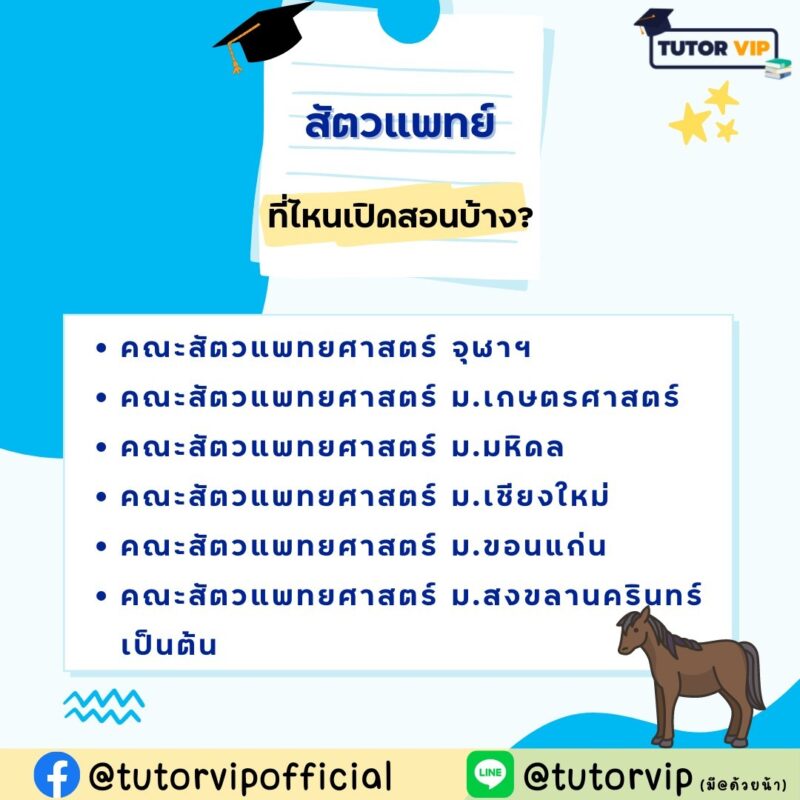 รู้จักคณะสัตวแพทยศาสตร์ การเรียน และเส้นทางอาชีพ! | Tutor Vip