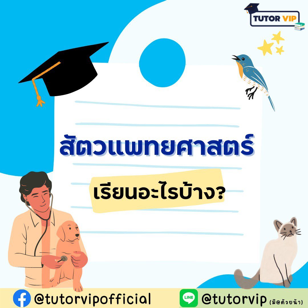 รู้จักคณะสัตวแพทยศาสตร์ การเรียน และเส้นทางอาชีพ! | Tutor Vip