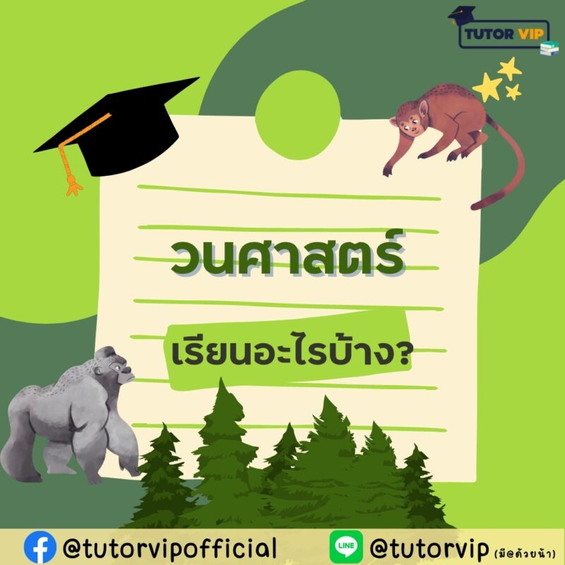 แนะนำคณะวนศาสตร์ คณะนี้เรียนอะไรบ้าง