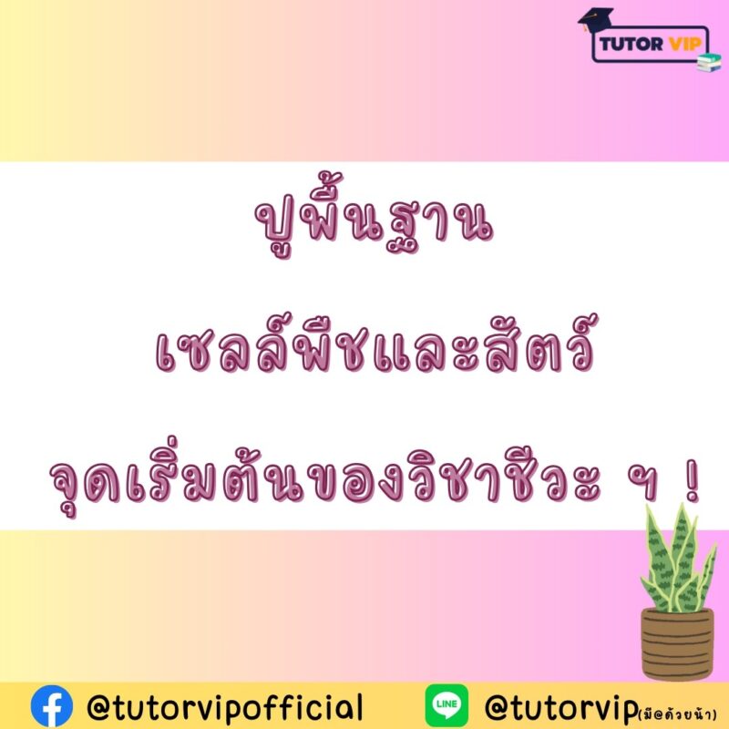 ปูพื้นฐานเซลล์พืชและสัตว์ จุดเริ่มต้นของวิชาชีวะ