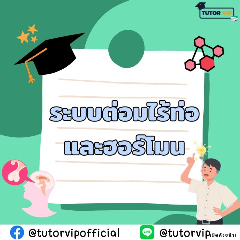 ระบบต่อมไร้ท่อและฮอร์โมน