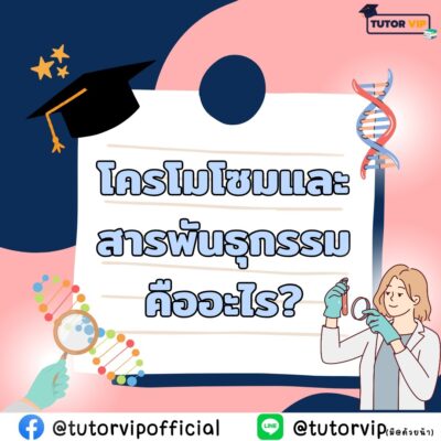 โครโมโซมและสารพันธุกรรมคืออะไร
