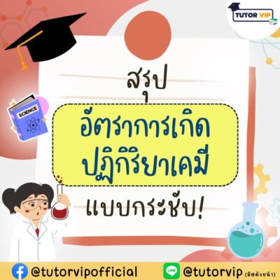 สรุปอัตราการเกิดปฏิกิริยาเคมีแบบกระชับ!